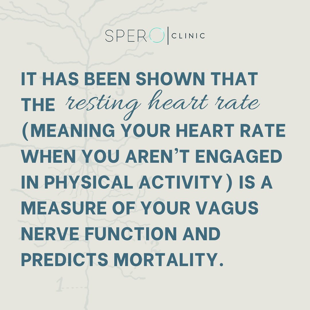 vagus nerve resting heart rate