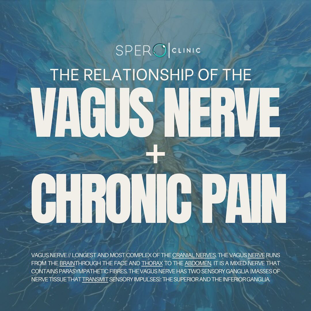 the vagus nerve relationship chronic pain graphic spero clinic 1