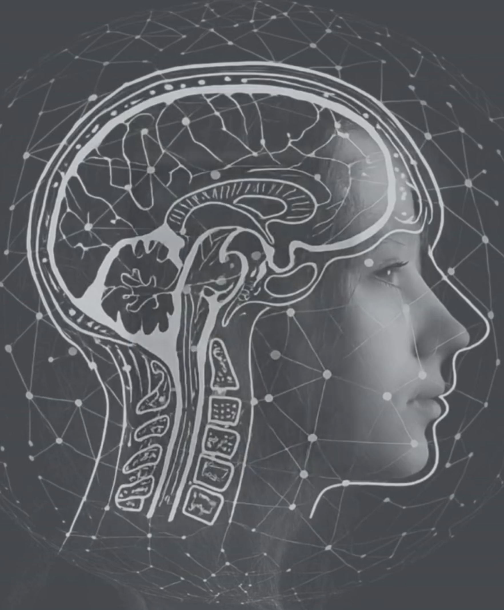 neurochaos long covid book artwork by dr katinka van der merwe spero clinic